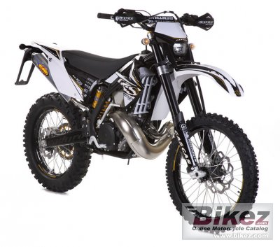 2010 GAS GAS EC 250 2T Racing photo